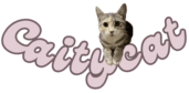 Caitycat site logo with cat on top of title.