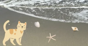 Shoreline with ocean water and sea shells with cat walking on beach