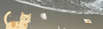 Shoreline with ocean water and sea shells with cat walking on beach