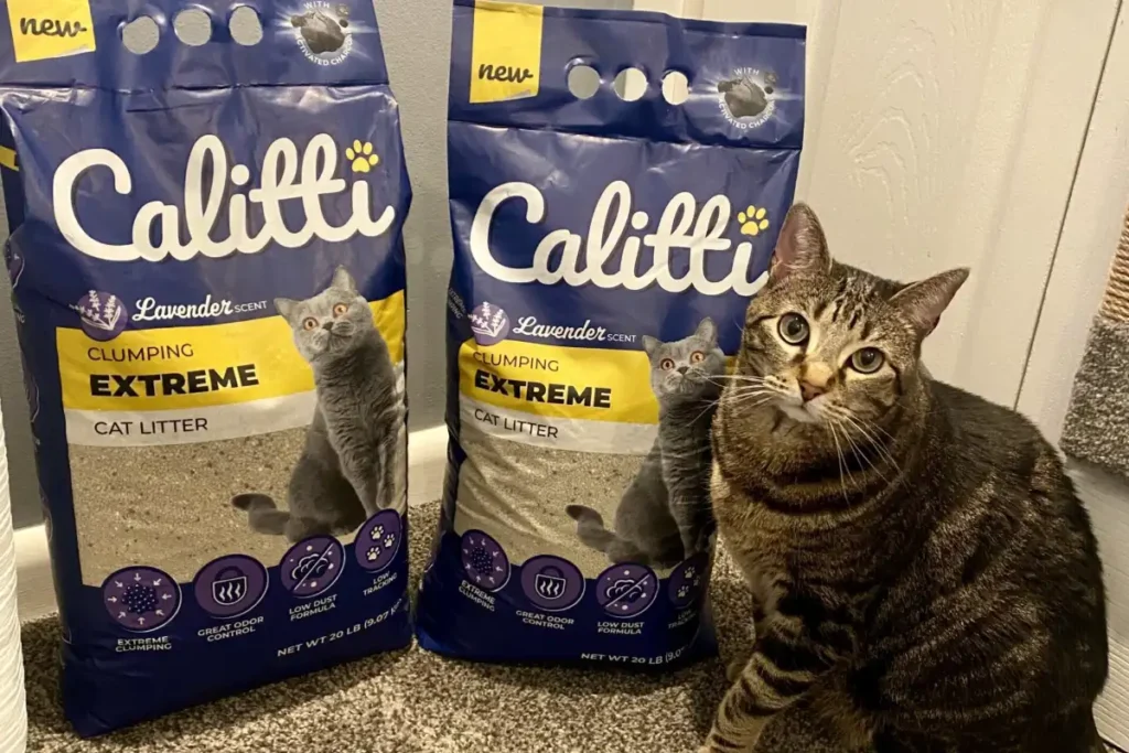 Tabby cat sitting next to two bags of Calitti Extreme Clumping Cat Litter