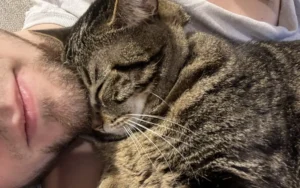 Tabby cat rubbing up against owner's beard with eyes closed, showing that cats love beards.