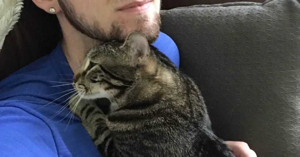 Cat rubbing on owner's beard since cats like beards