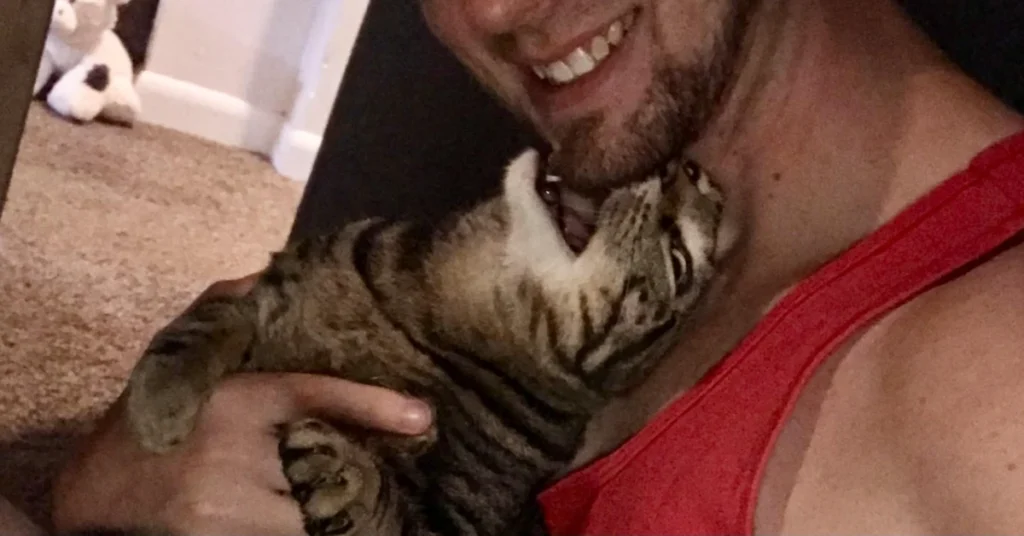 Tabby cat biting owner's beard because cats like beards