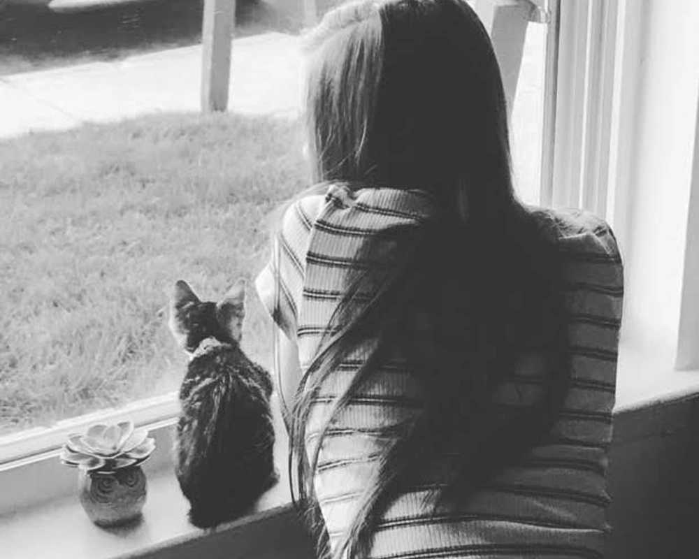 Girl sitting next to tiny kitten sitting on windowsill looking out the window