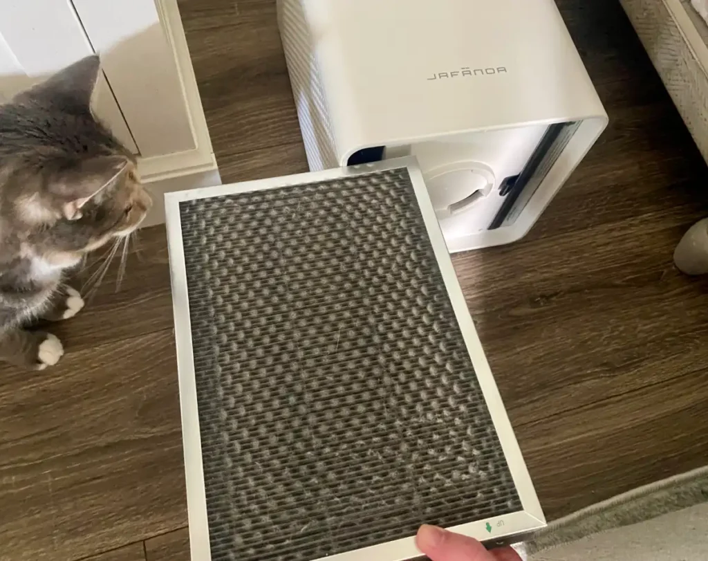 Jafanda air purifier air filter pulled out of the purifier showing lots of dust accumulated on it, with a small gray tabby cat looking at the filter